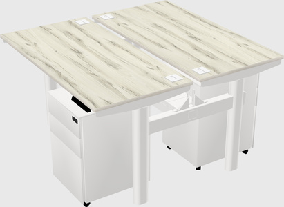 Shared electric desk