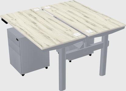 Shared electric desk