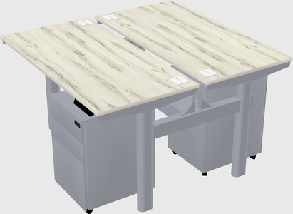 Shared electric desk