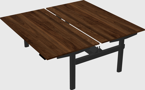 Shared electric desk
