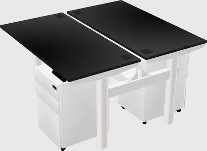 Shared electric desk