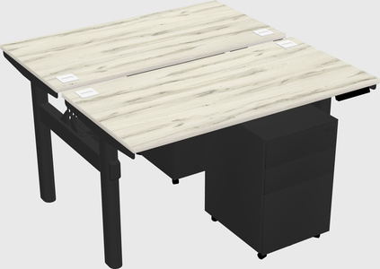 Shared electric desk