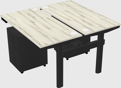Shared electric desk