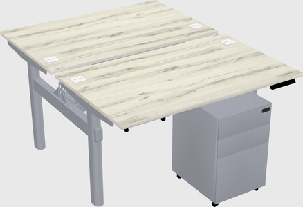 Shared electric desk