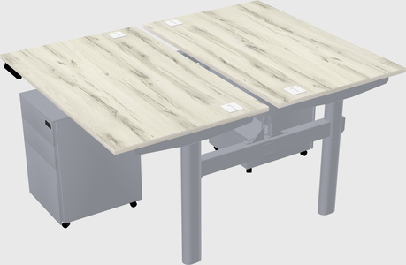 Shared electric desk