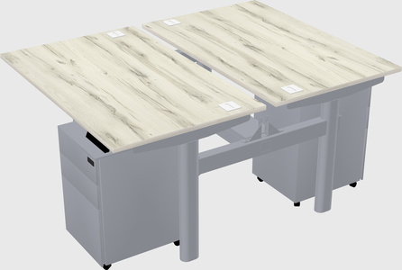 Shared electric desk