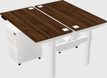 Shared electric desk