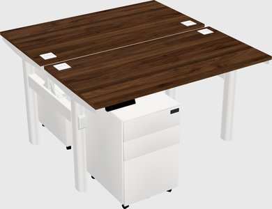 Shared electric desk