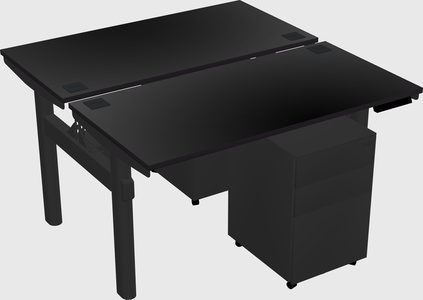 Shared electric desk
