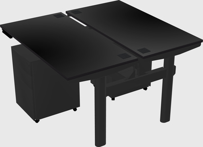 Shared electric desk