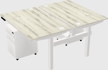 Shared electric desk