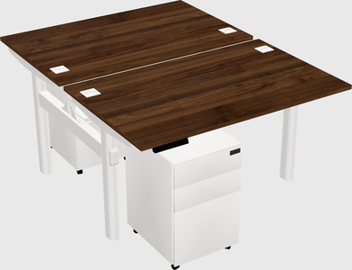 Shared electric desk