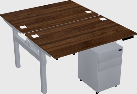 Shared electric desk