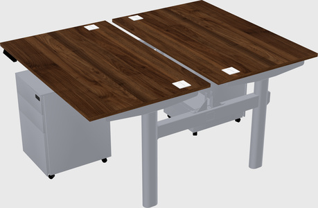 Shared electric desk