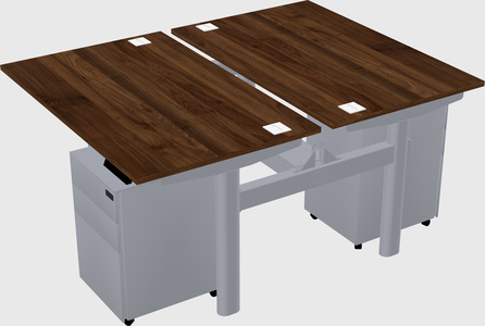 Shared electric desk