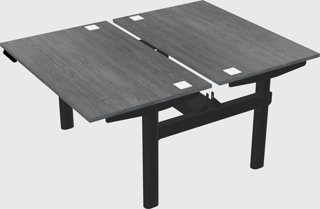 Shared electric desk