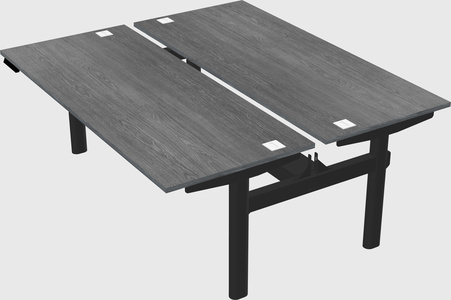 Shared electric desk