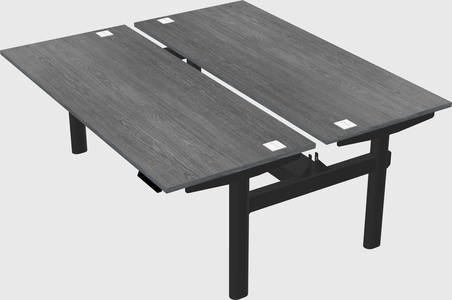 Shared electric desk