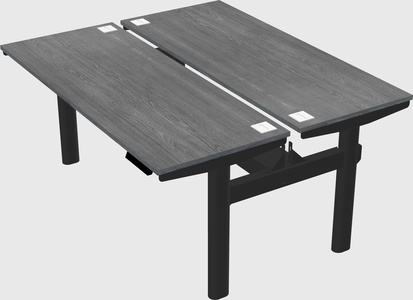 Shared electric desk