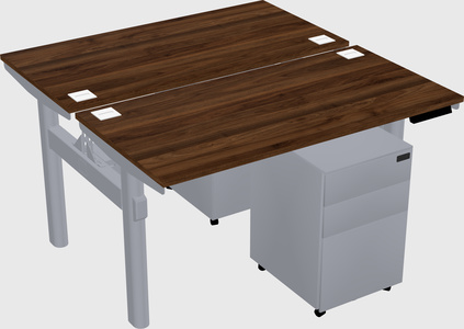 Shared electric desk
