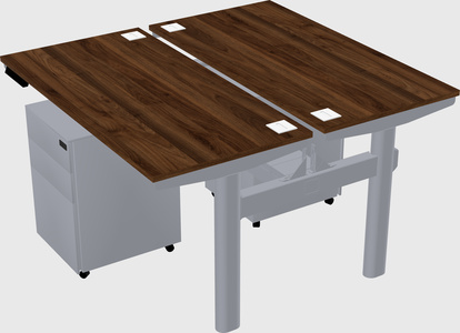 Shared electric desk
