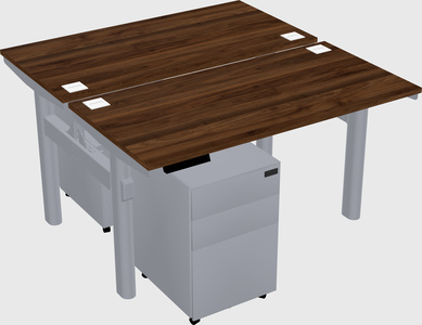 Shared electric desk