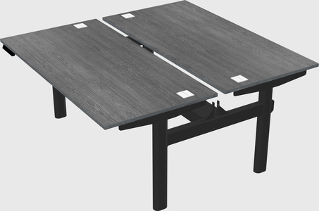 Shared electric desk