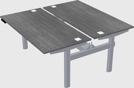 Shared electric desk