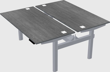 Shared electric desk