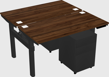 Shared electric desk