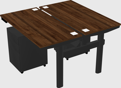 Shared electric desk