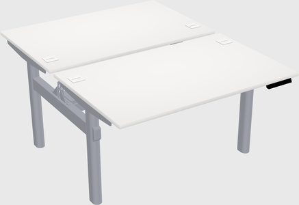 Shared electric desk