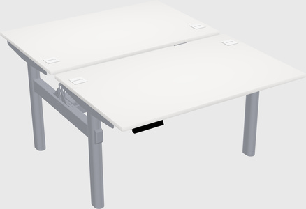 Shared electric desk