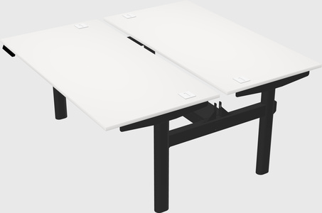 Shared electric desk
