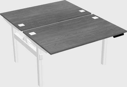 Shared electric desk