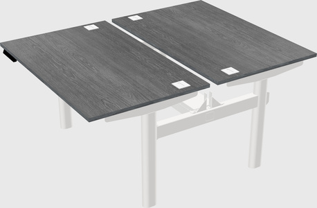 Shared electric desk