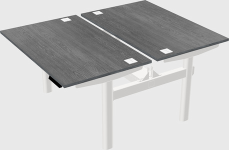 Shared electric desk