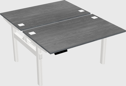 Shared electric desk