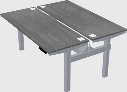 Shared electric desk