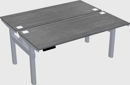 Shared electric desk