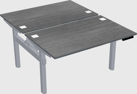 Shared electric desk