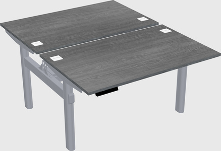 Shared electric desk