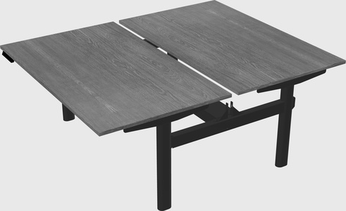 Shared electric desk