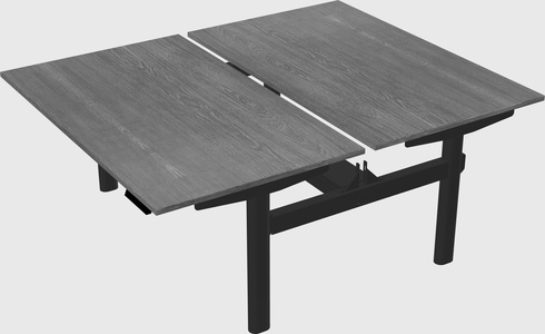 Shared electric desk