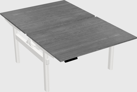 Shared electric desk
