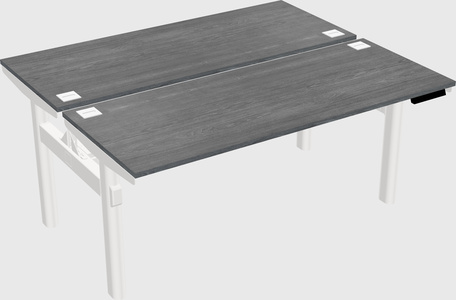 Shared electric desk