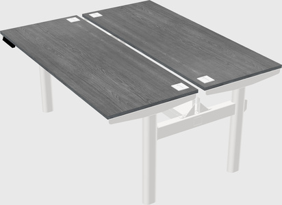 Shared electric desk