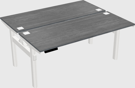 Shared electric desk