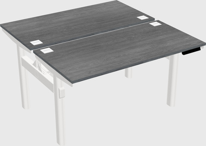 Shared electric desk