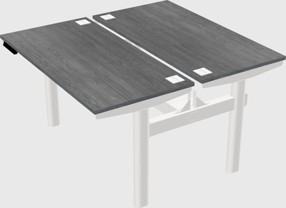 Shared electric desk